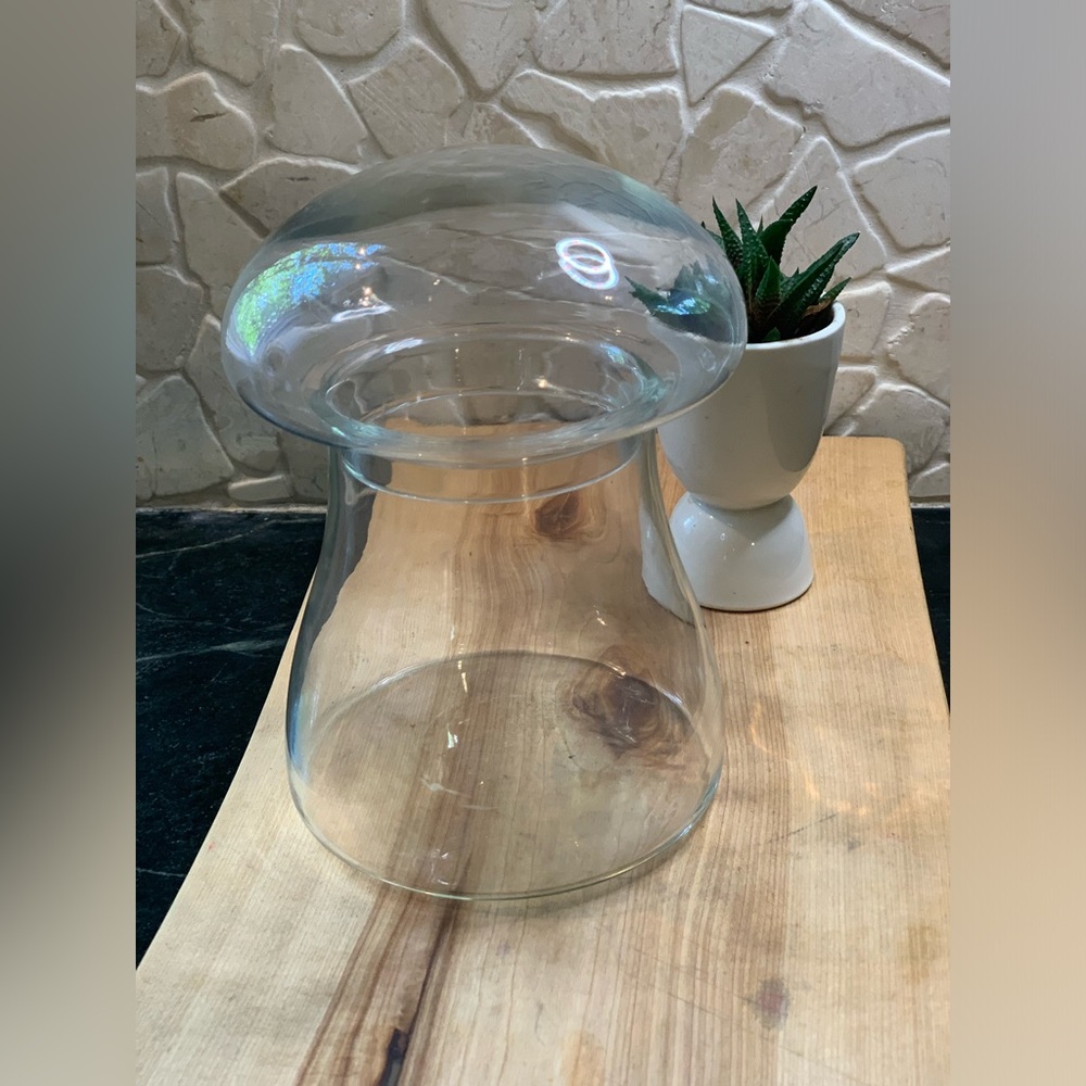 LIBBEY | Vintage Glass Mushroom Apothecary /Terrarium Lidded Jar